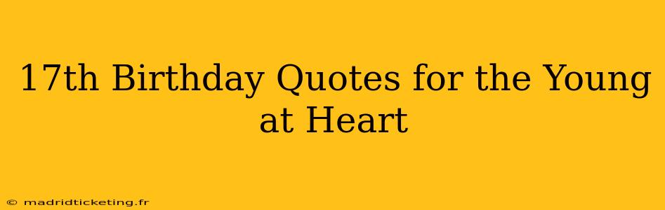 17th Birthday Quotes for the Young at Heart