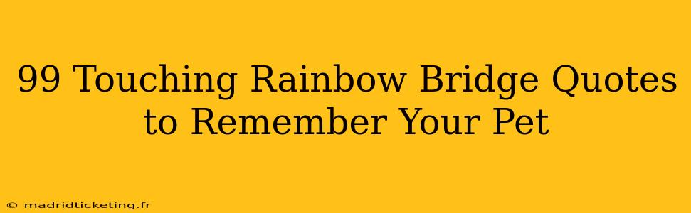 99 Touching Rainbow Bridge Quotes to Remember Your Pet