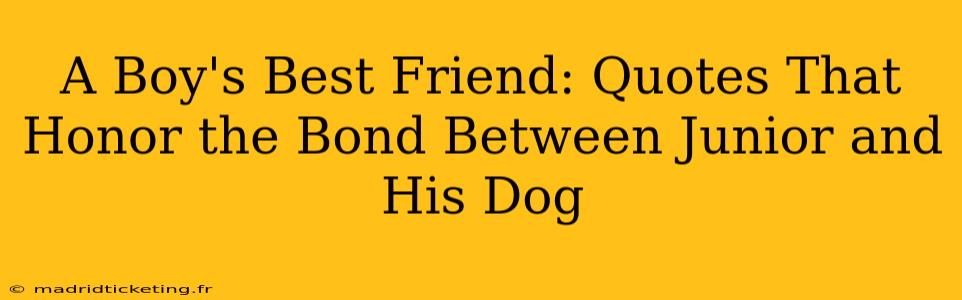 A Boy's Best Friend: Quotes That Honor the Bond Between Junior and His Dog