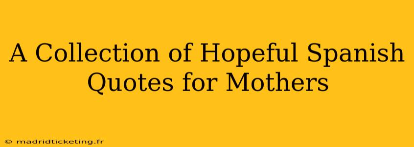 A Collection of Hopeful Spanish Quotes for Mothers