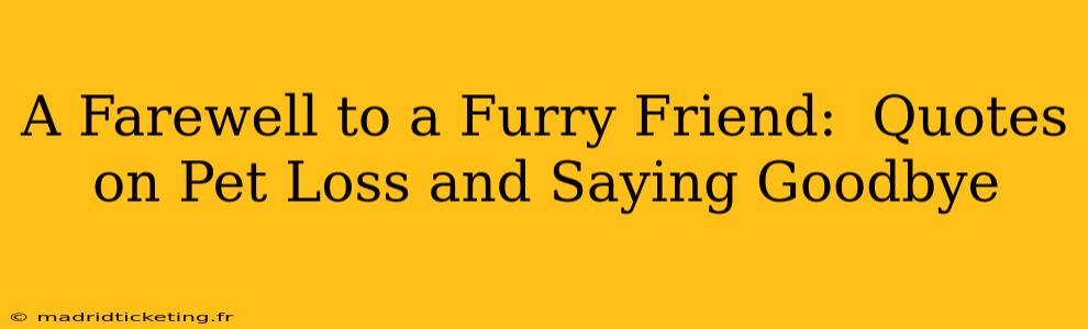 A Farewell to a Furry Friend:  Quotes on Pet Loss and Saying Goodbye