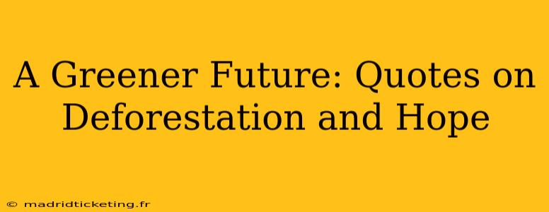 A Greener Future: Quotes on Deforestation and Hope