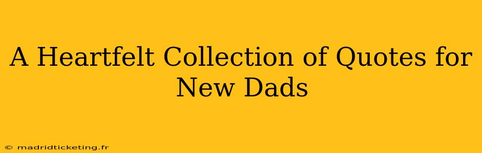 A Heartfelt Collection of Quotes for New Dads