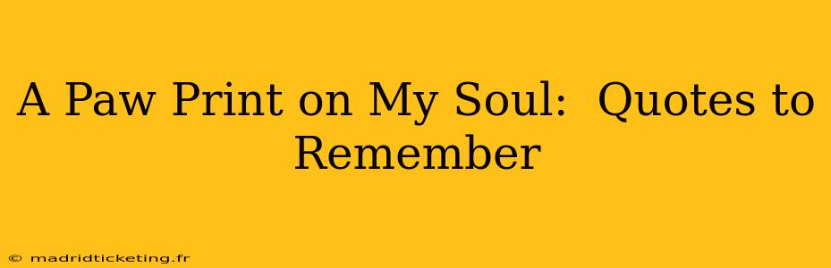 A Paw Print on My Soul:  Quotes to Remember