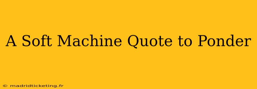 A Soft Machine Quote to Ponder