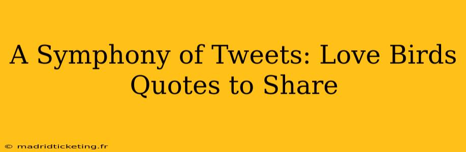 A Symphony of Tweets: Love Birds Quotes to Share