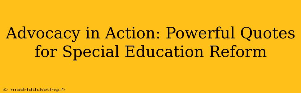 Advocacy in Action: Powerful Quotes for Special Education Reform