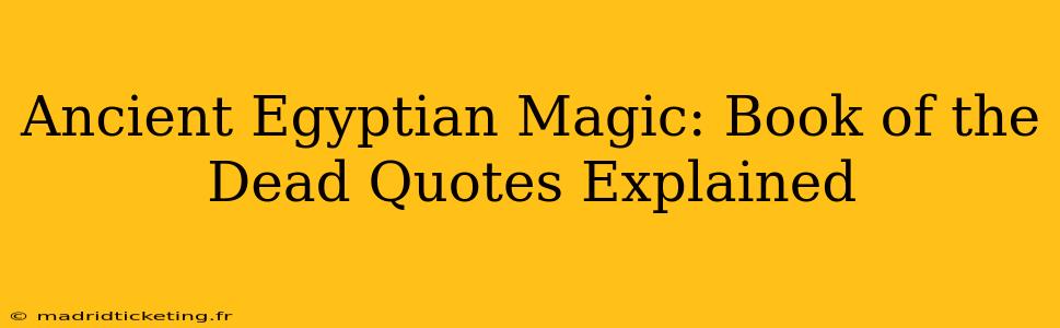 Ancient Egyptian Magic: Book of the Dead Quotes Explained