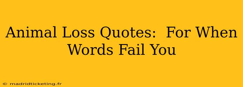 Animal Loss Quotes:  For When Words Fail You