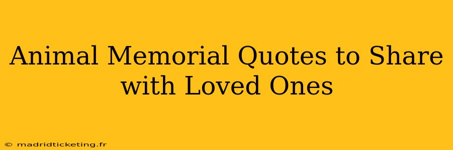 Animal Memorial Quotes to Share with Loved Ones