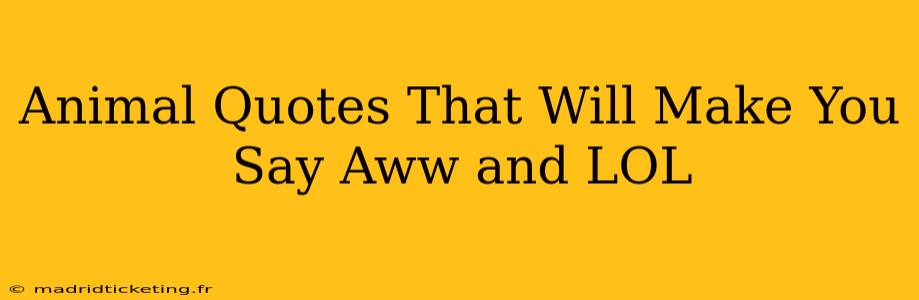 Animal Quotes That Will Make You Say Aww and LOL