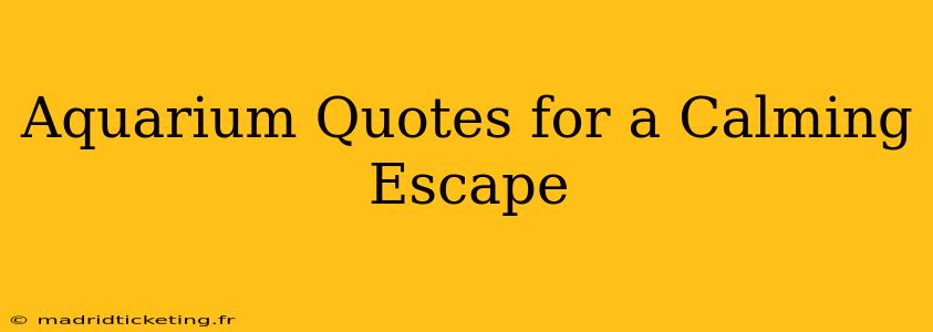 Aquarium Quotes for a Calming Escape