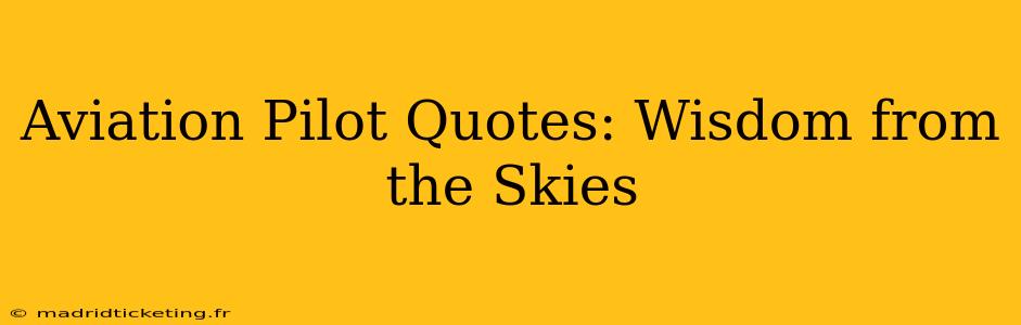 Aviation Pilot Quotes: Wisdom from the Skies