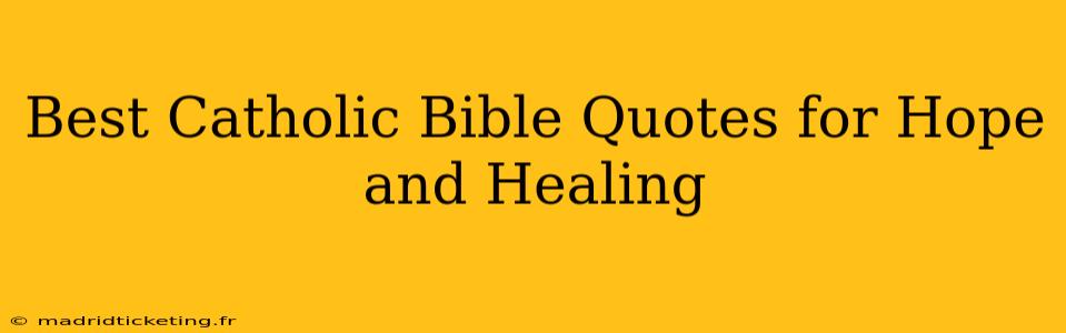 Best Catholic Bible Quotes for Hope and Healing