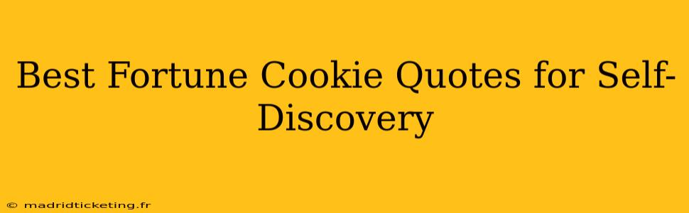 Best Fortune Cookie Quotes for Self-Discovery
