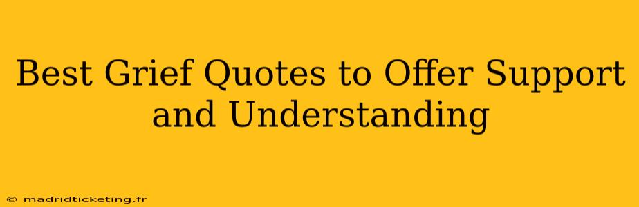 Best Grief Quotes to Offer Support and Understanding