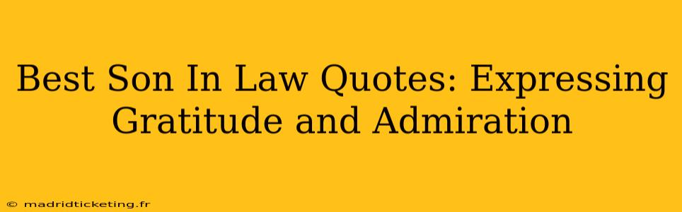 Best Son In Law Quotes: Expressing Gratitude and Admiration