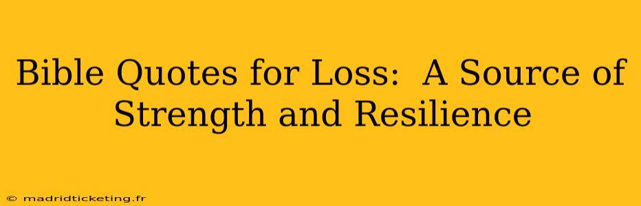 Bible Quotes for Loss:  A Source of Strength and Resilience