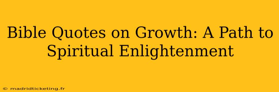 Bible Quotes on Growth: A Path to Spiritual Enlightenment