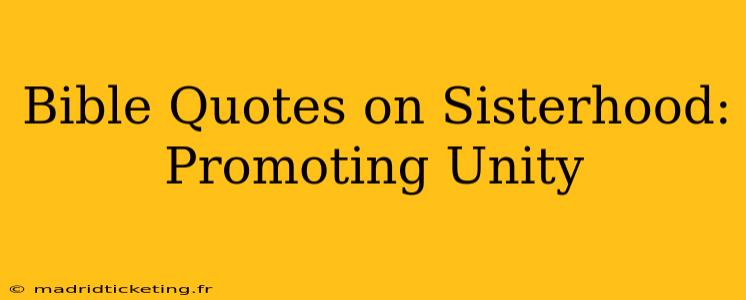 Bible Quotes on Sisterhood: Promoting Unity