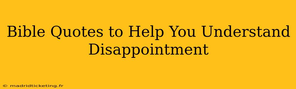 Bible Quotes to Help You Understand Disappointment