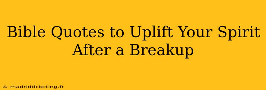 Bible Quotes to Uplift Your Spirit After a Breakup