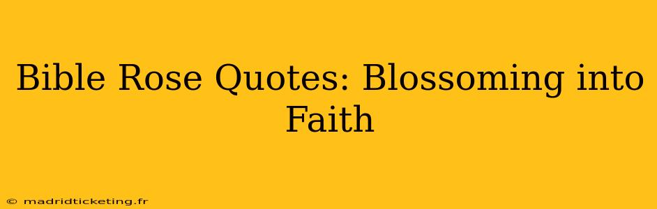 Bible Rose Quotes: Blossoming into Faith