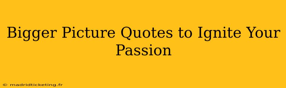 Bigger Picture Quotes to Ignite Your Passion