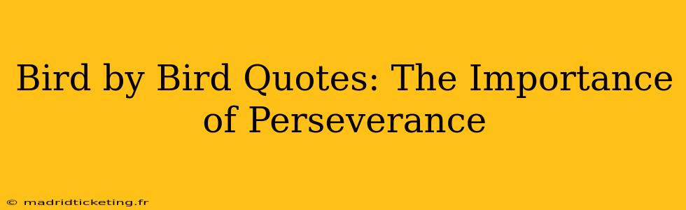 Bird by Bird Quotes: The Importance of Perseverance