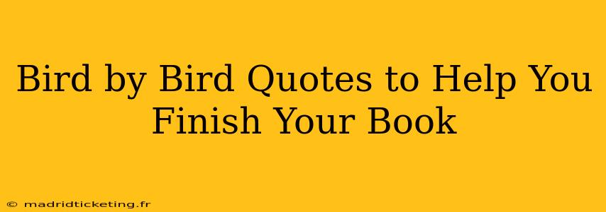 Bird by Bird Quotes to Help You Finish Your Book