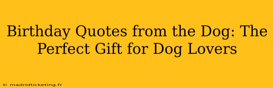 Birthday Quotes from the Dog: The Perfect Gift for Dog Lovers