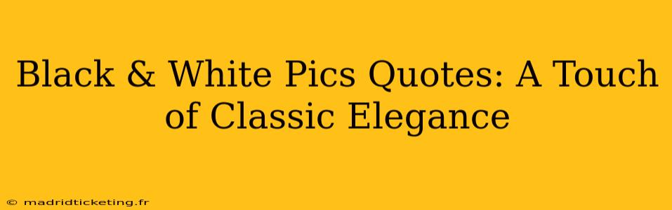 Black & White Pics Quotes: A Touch of Classic Elegance