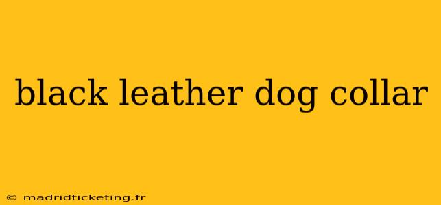 black leather dog collar