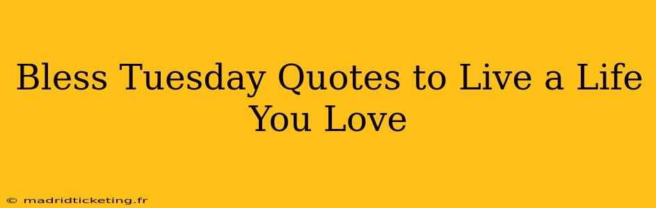 Bless Tuesday Quotes to Live a Life You Love