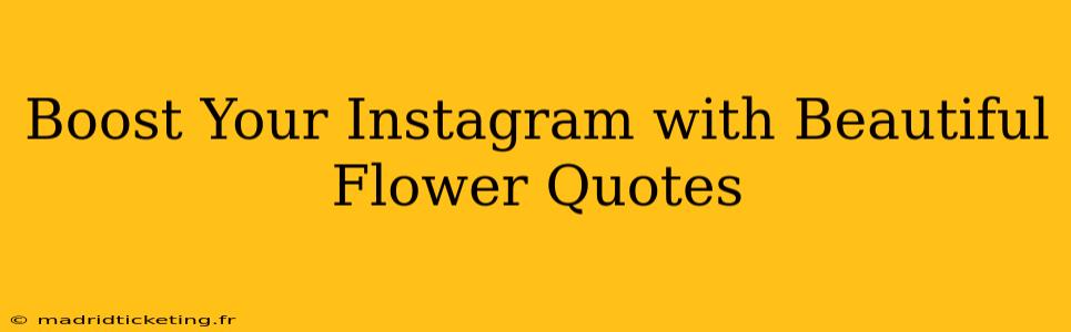Boost Your Instagram with Beautiful Flower Quotes