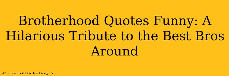 Brotherhood Quotes Funny: A Hilarious Tribute to the Best Bros Around