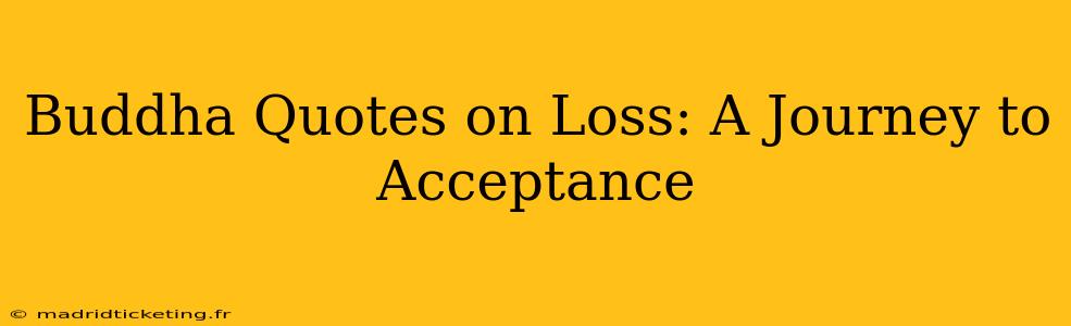 Buddha Quotes on Loss: A Journey to Acceptance