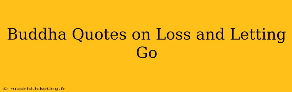 Buddha Quotes on Loss and Letting Go