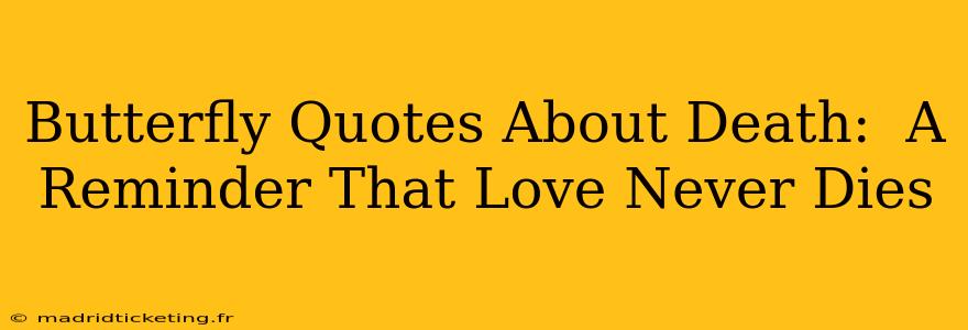 Butterfly Quotes About Death:  A Reminder That Love Never Dies