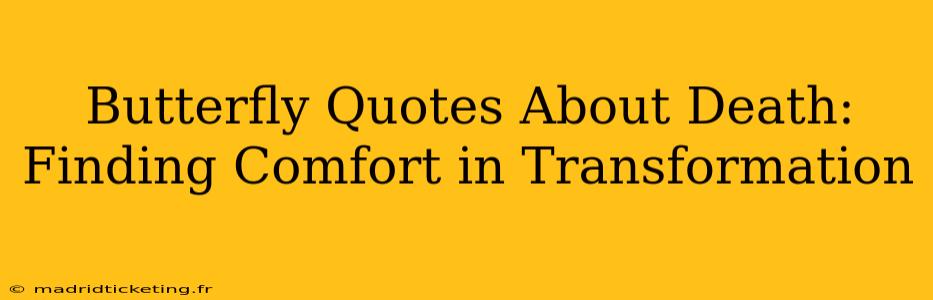Butterfly Quotes About Death: Finding Comfort in Transformation