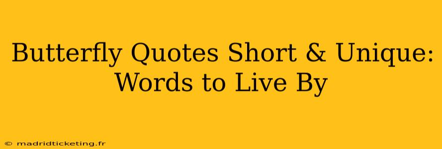 Butterfly Quotes Short & Unique: Words to Live By