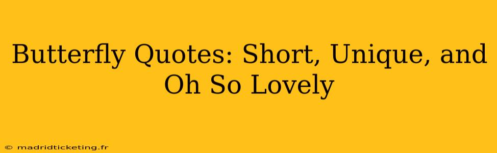 Butterfly Quotes: Short, Unique, and Oh So Lovely