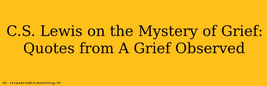 C.S. Lewis on the Mystery of Grief: Quotes from A Grief Observed