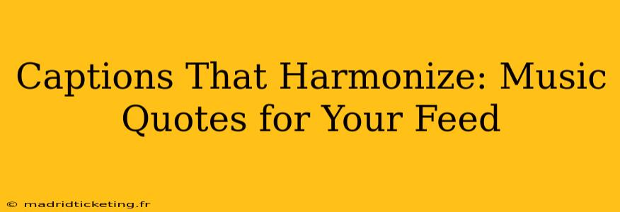 Captions That Harmonize: Music Quotes for Your Feed