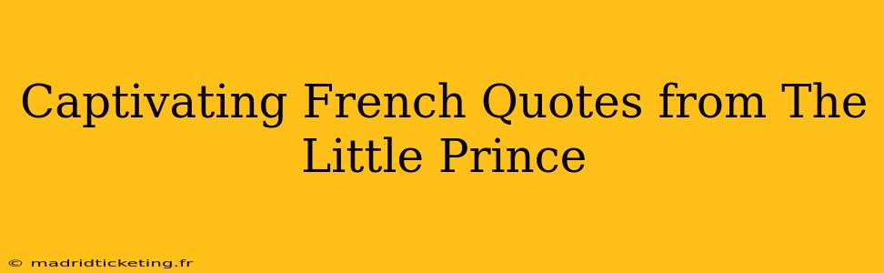 Captivating French Quotes from The Little Prince