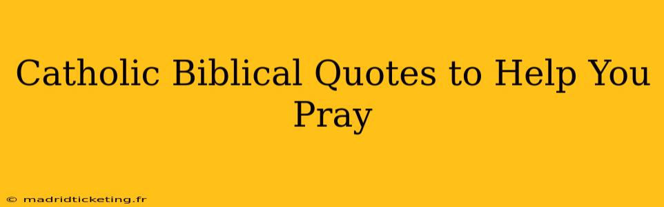 Catholic Biblical Quotes to Help You Pray