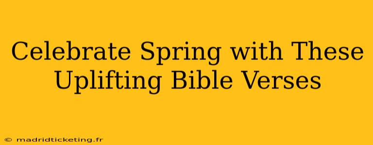 Celebrate Spring with These Uplifting Bible Verses
