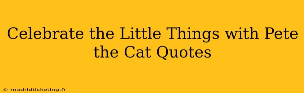 Celebrate the Little Things with Pete the Cat Quotes