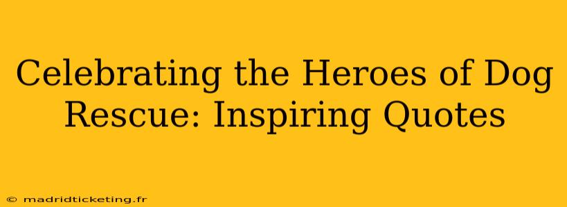 Celebrating the Heroes of Dog Rescue: Inspiring Quotes