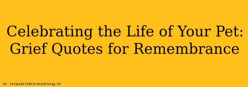 Celebrating the Life of Your Pet: Grief Quotes for Remembrance